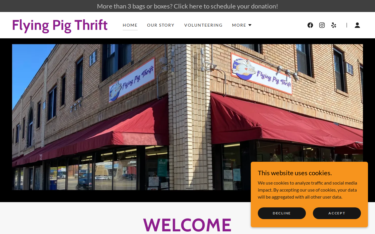 Flying Pig Thrift website preview