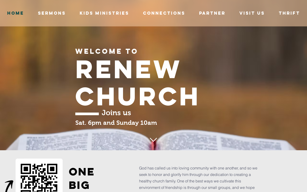 Renew Thrift Store website preview