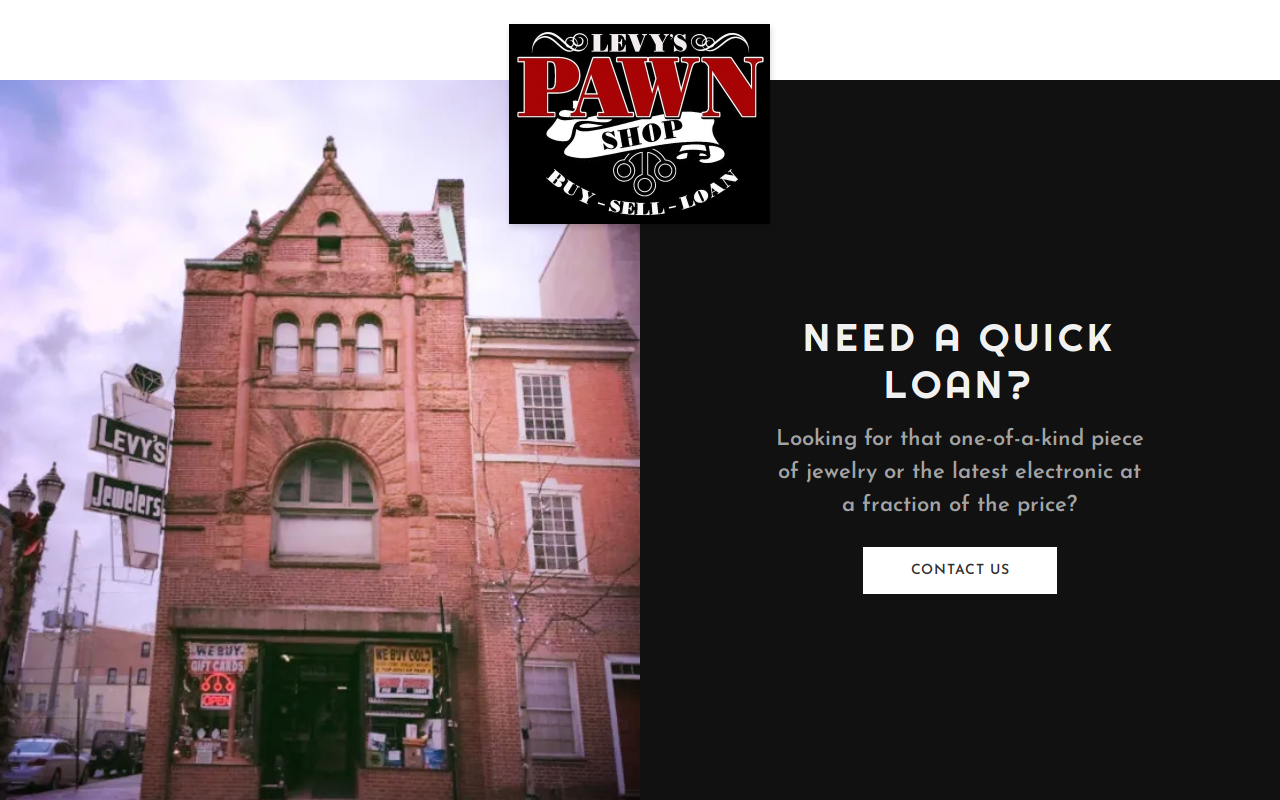 Levy's Pawn Shop website preview