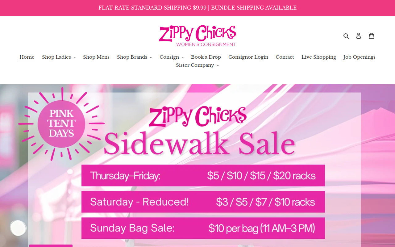 Zippy Chicks website preview