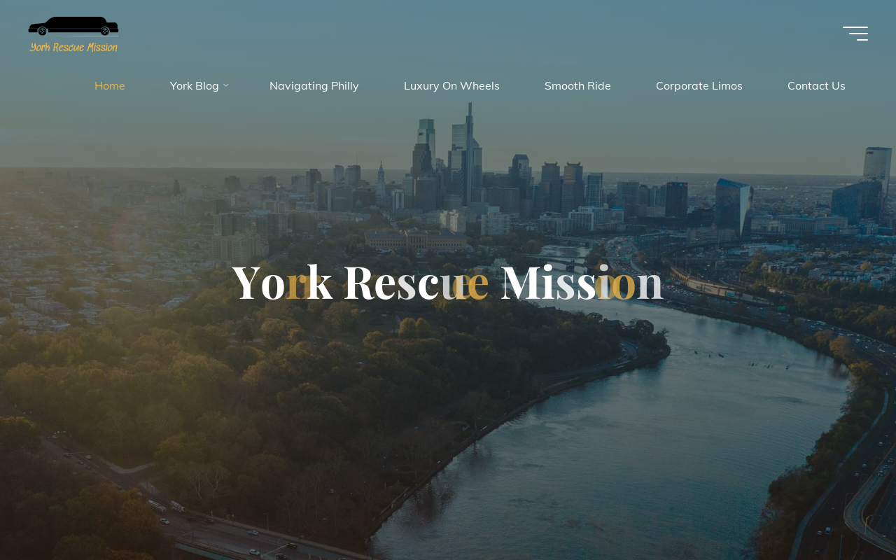 Economy Store York website preview