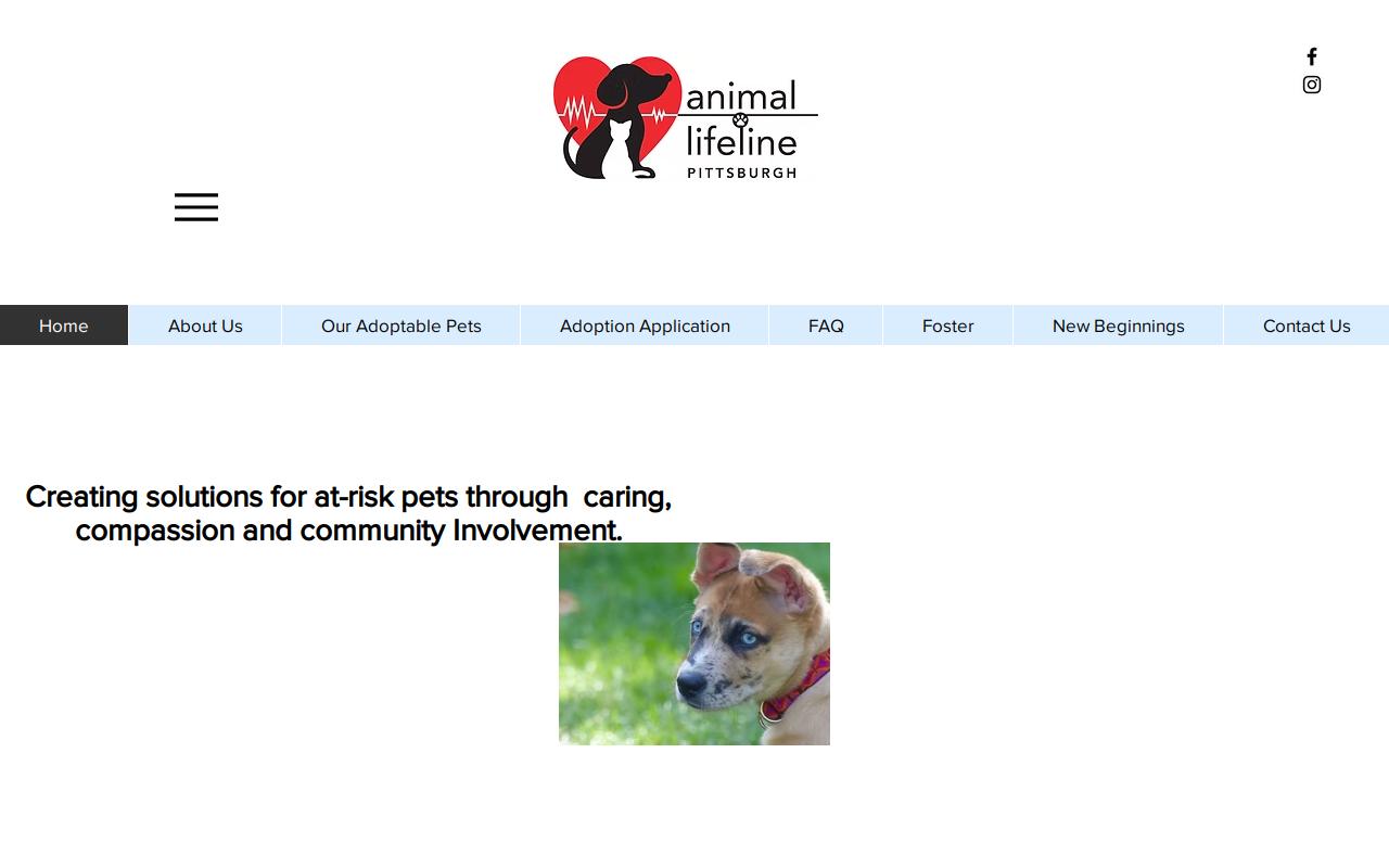 Animal Lifeline Pittsburgh Thrift Store website preview