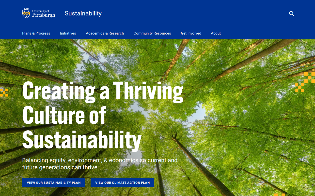 Thriftsburgh website preview