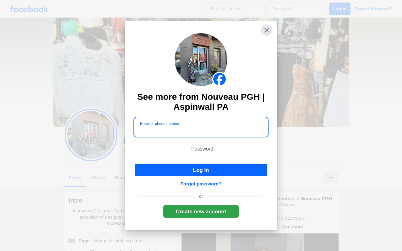 Nouveau Designer Consignment website preview
