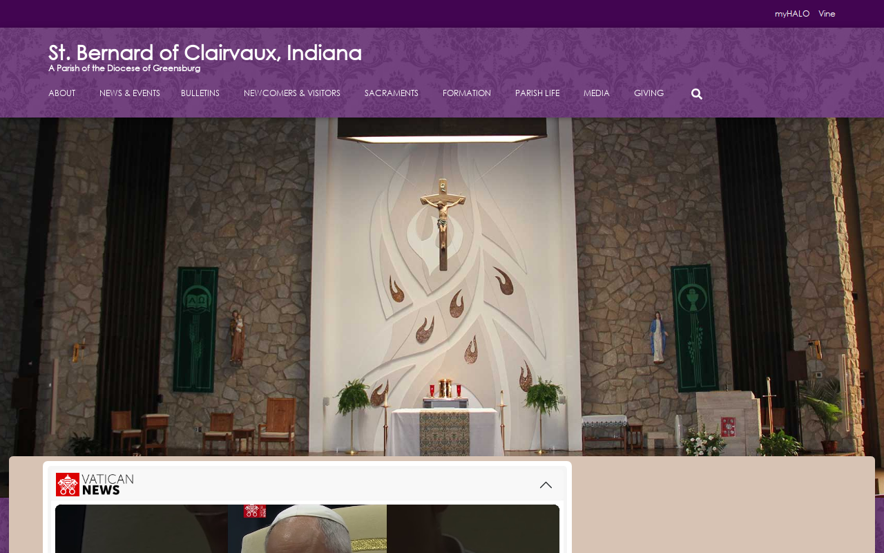 St Vincent de Paul Thrift Store website preview