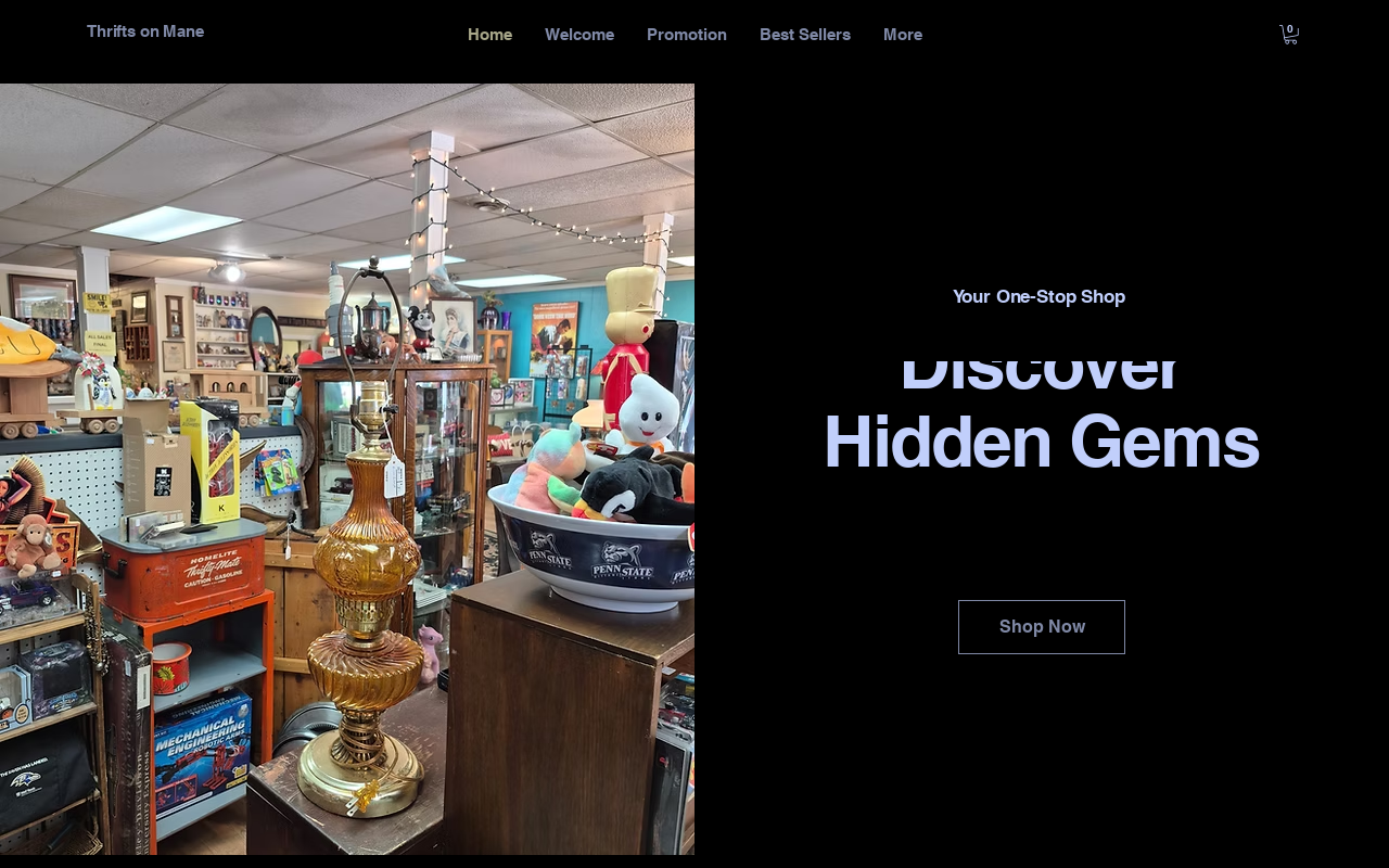 Thrifts on Mane website preview