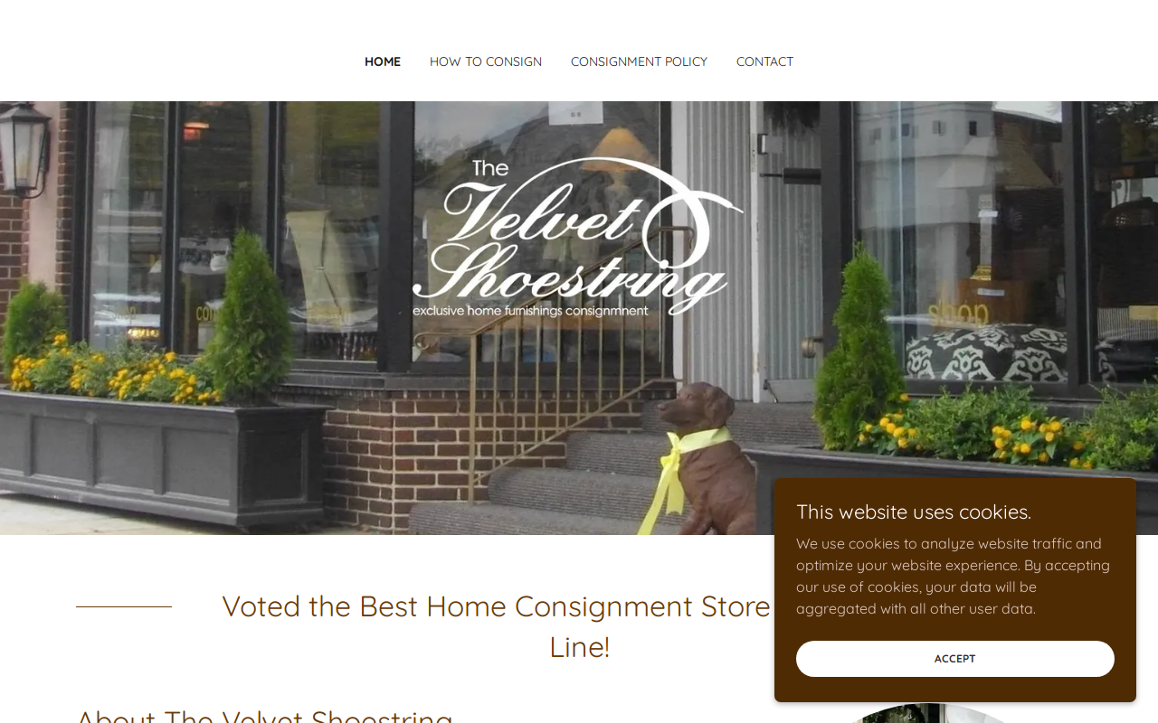 The Velvet Shoestring website preview