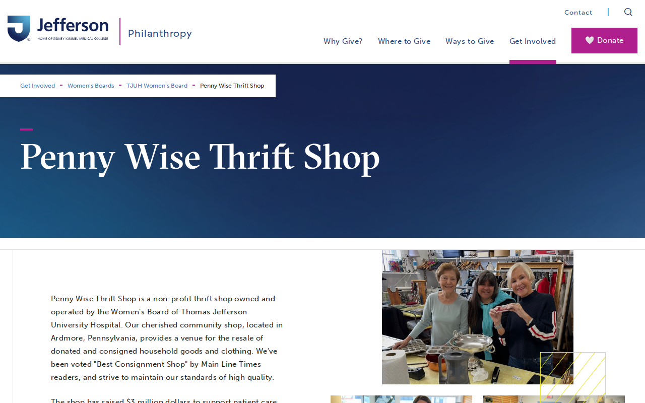 Penny Wise Thrift Shop website preview