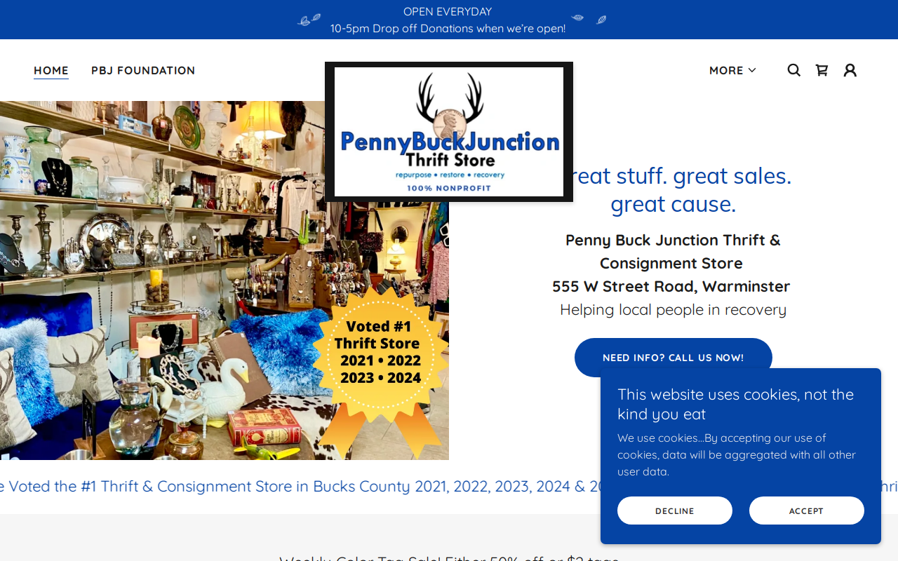 Penny Buck Junction website preview