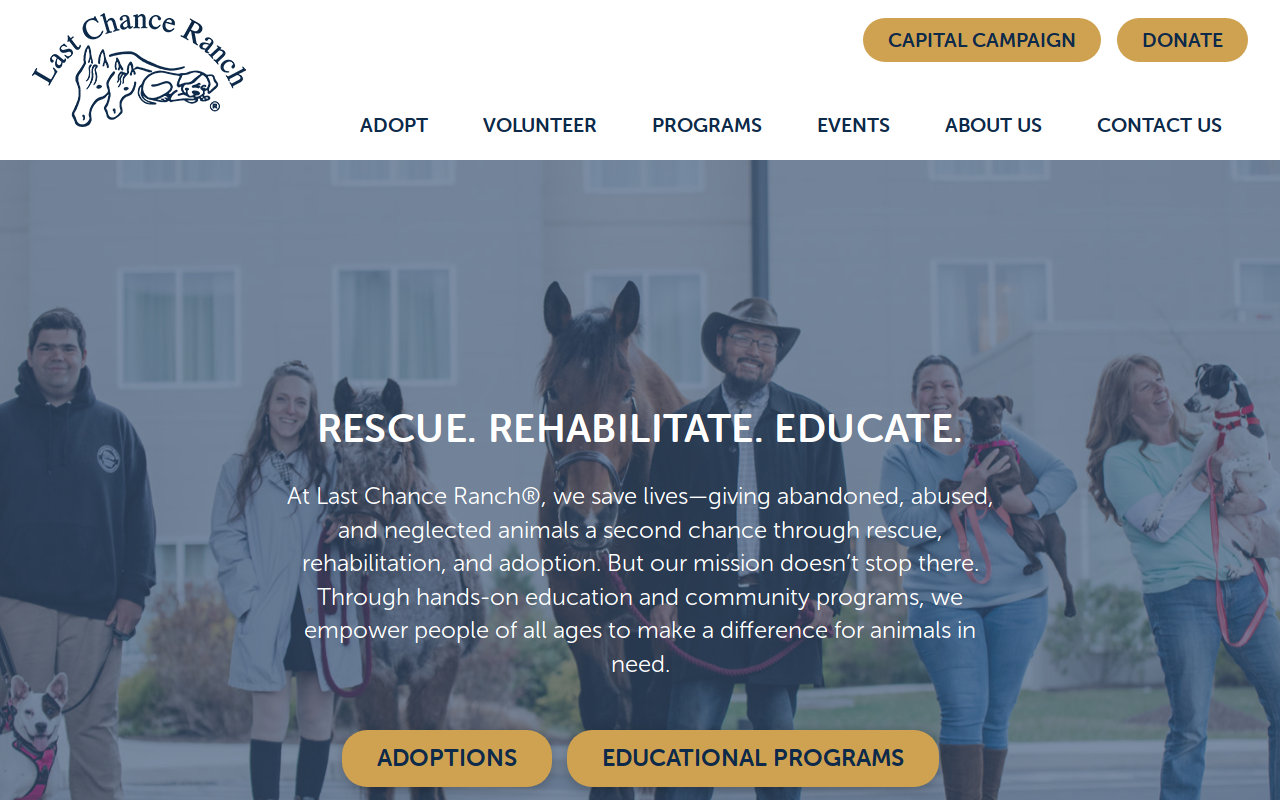Nine Lives Thrift Store website preview