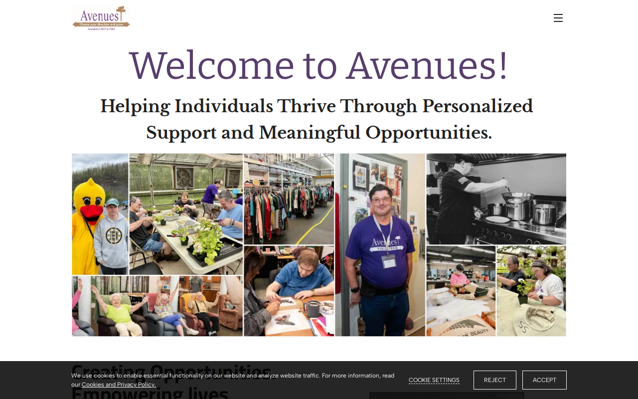 Valley Treasures website preview