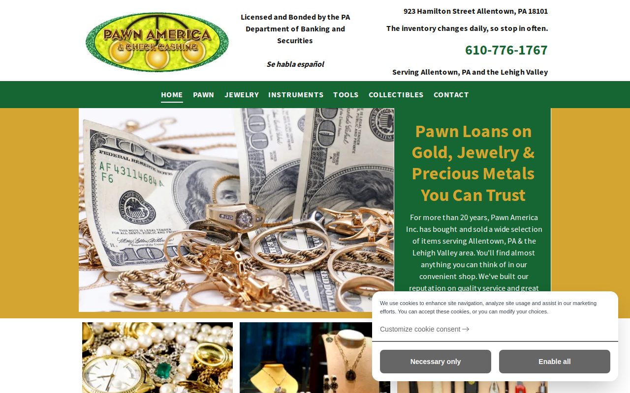 Pawn America Inc. website preview
