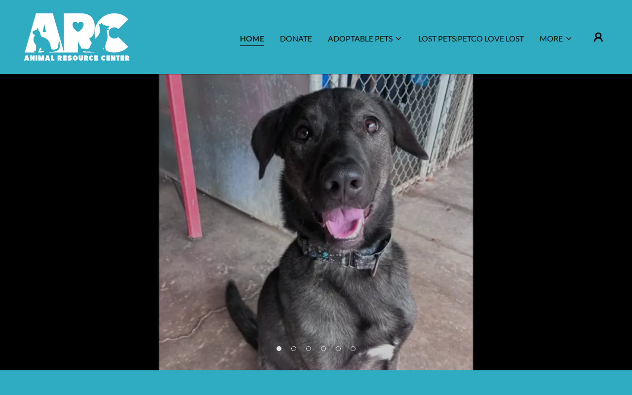 Animal Resource Center Yardsale website preview