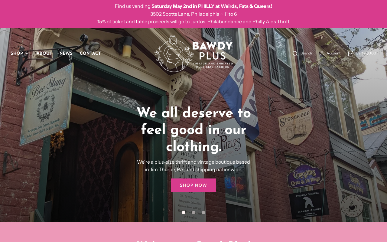 BawdyPlus website preview