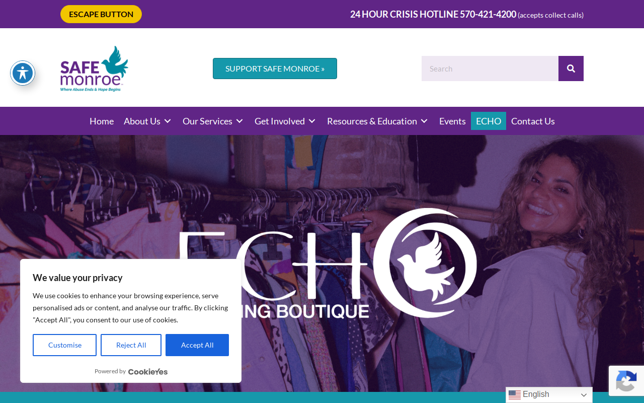 Echo website preview
