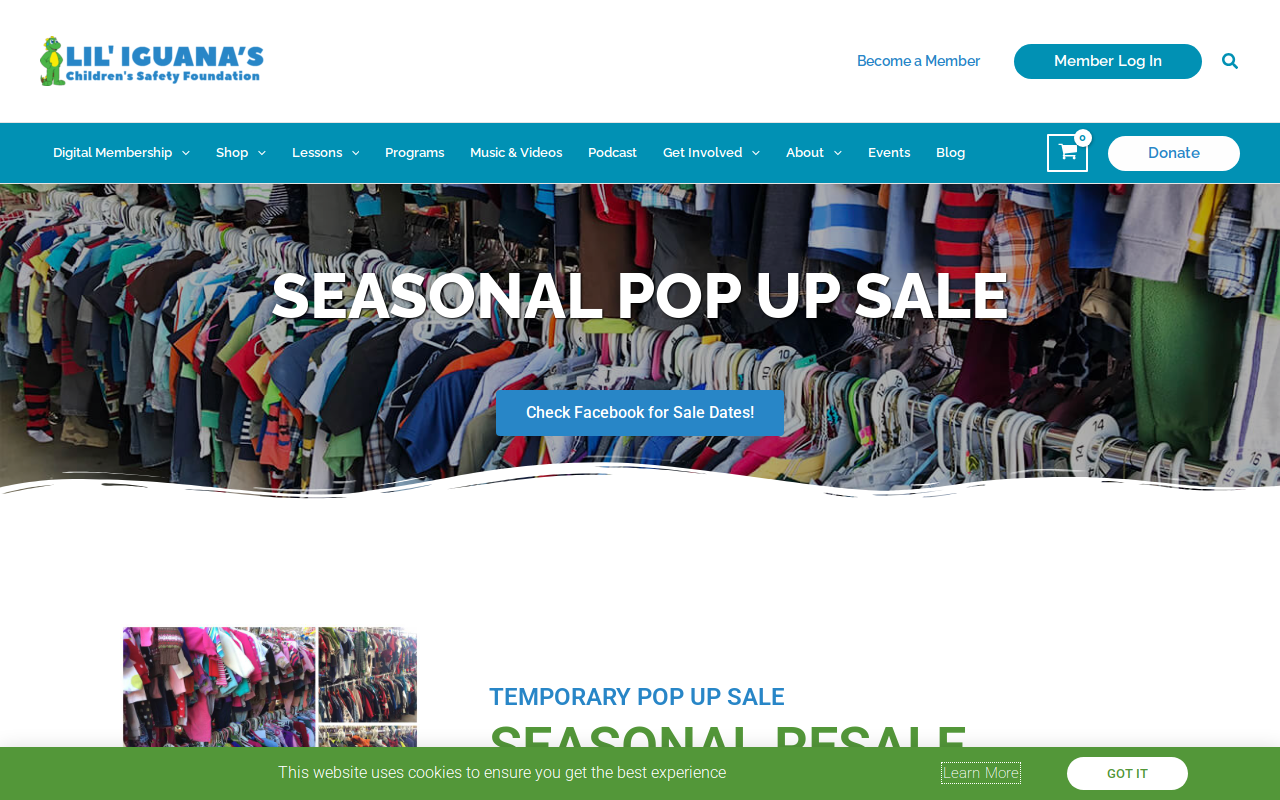 Lil' Iguana Seasonal Resale website preview