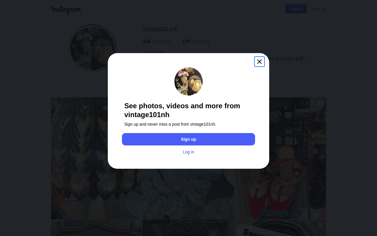 Vintage 101 website preview