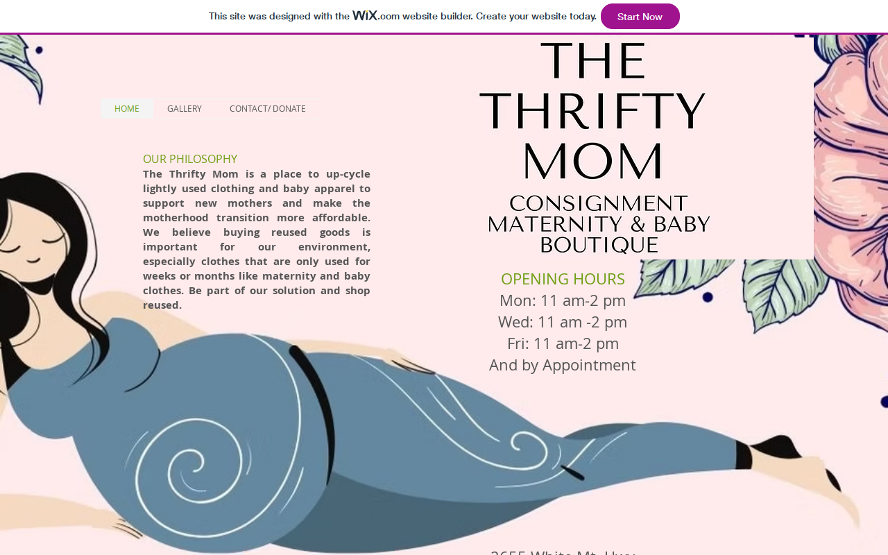 The Thrifty Mom website preview