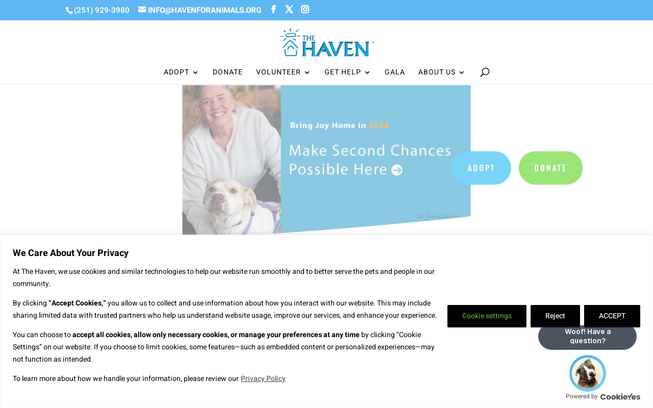 Haven Resale Shop website preview