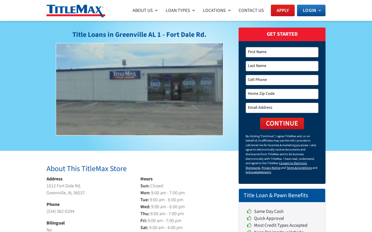 TitleMax Title Loans website preview