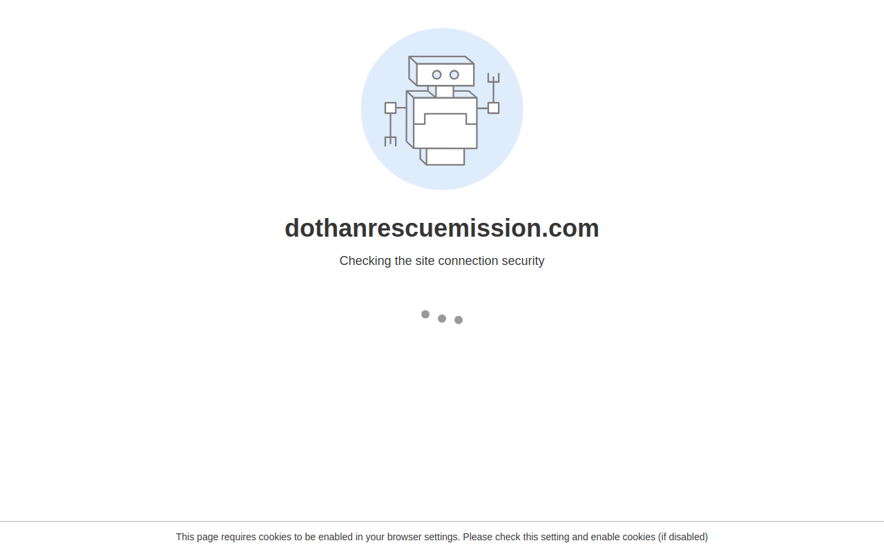 Rescue Mission Store website preview