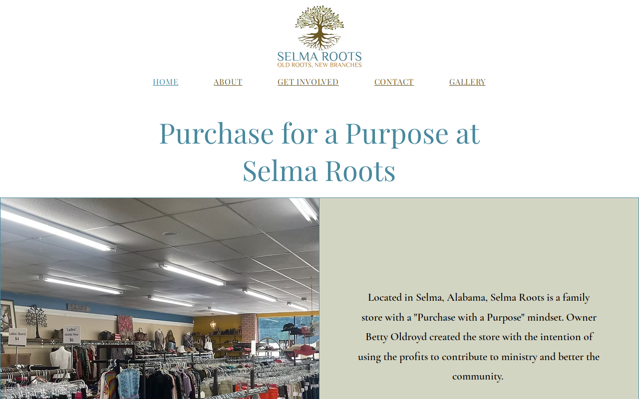 Selma Roots website preview