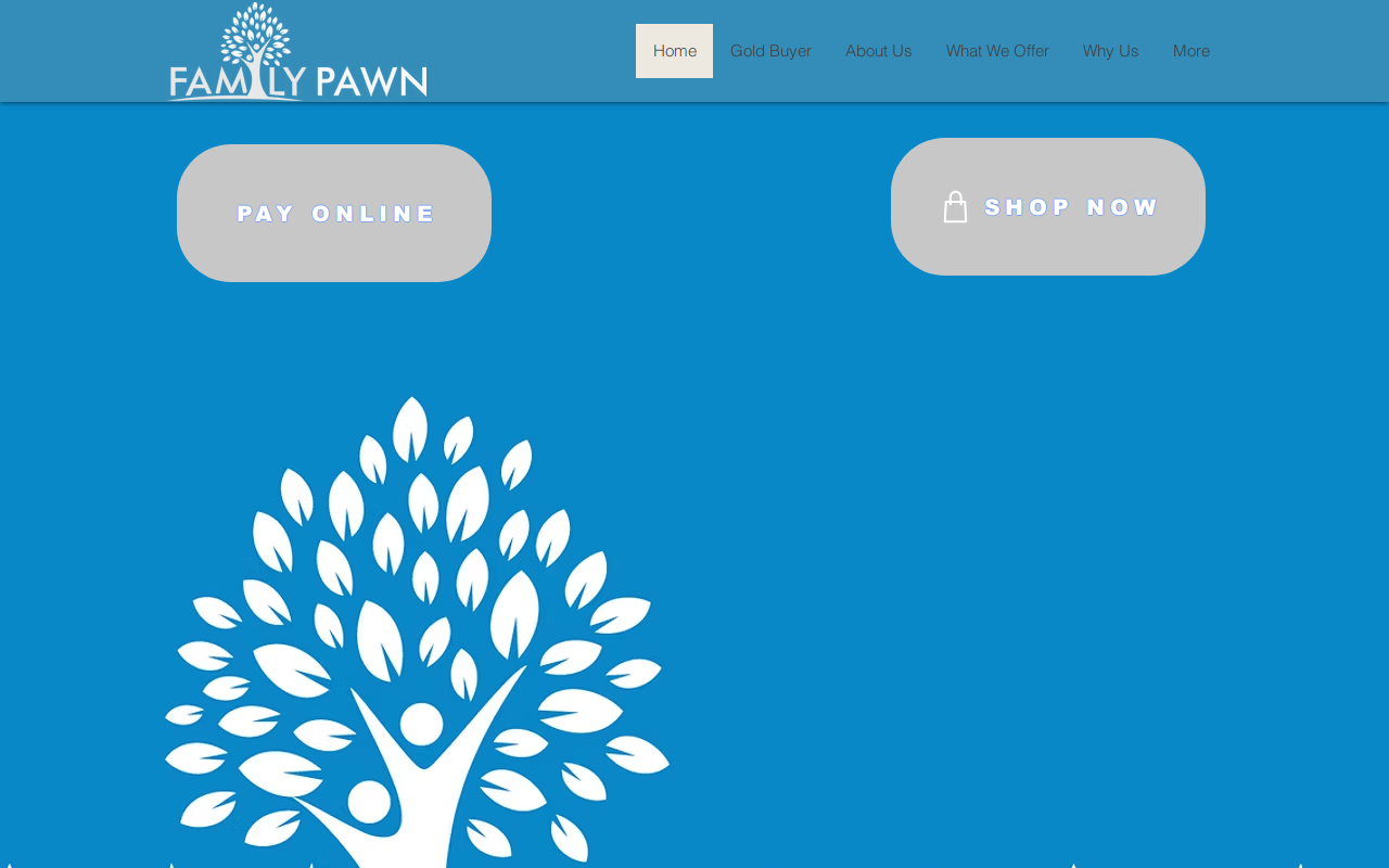 Family Pawn website preview