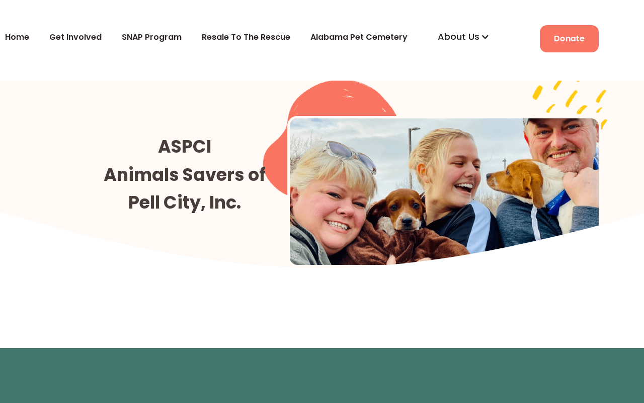 Resale to the Rescue Pell City website preview