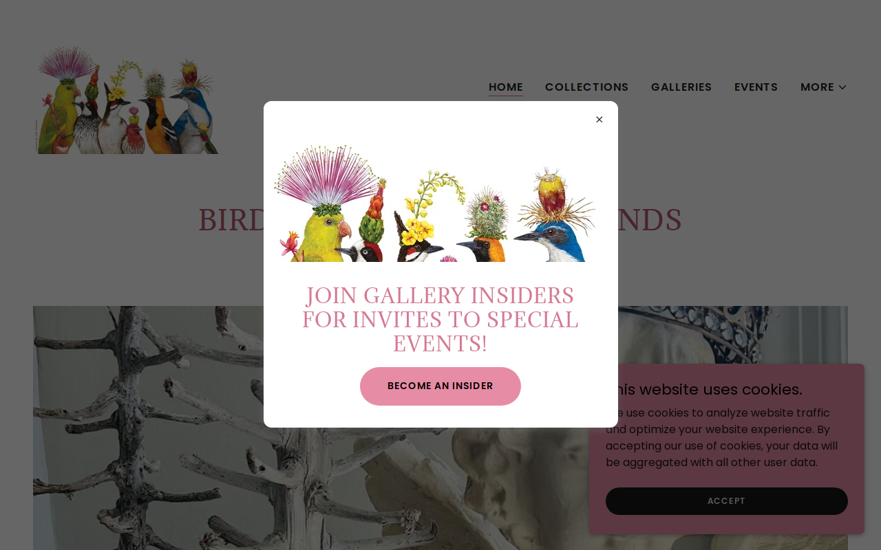 Birds of a Feather & Friends website preview
