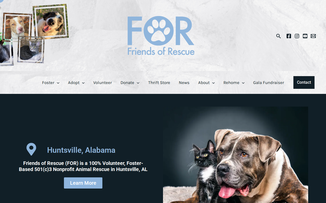Friends of Rescue Thrift Store website preview