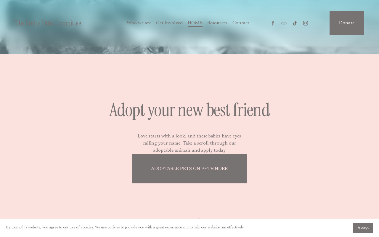 Pretty Thrifty website preview