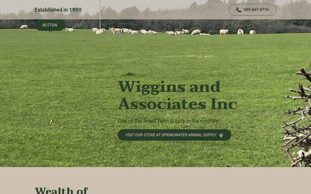 Wiggins Gun & Pawn website preview