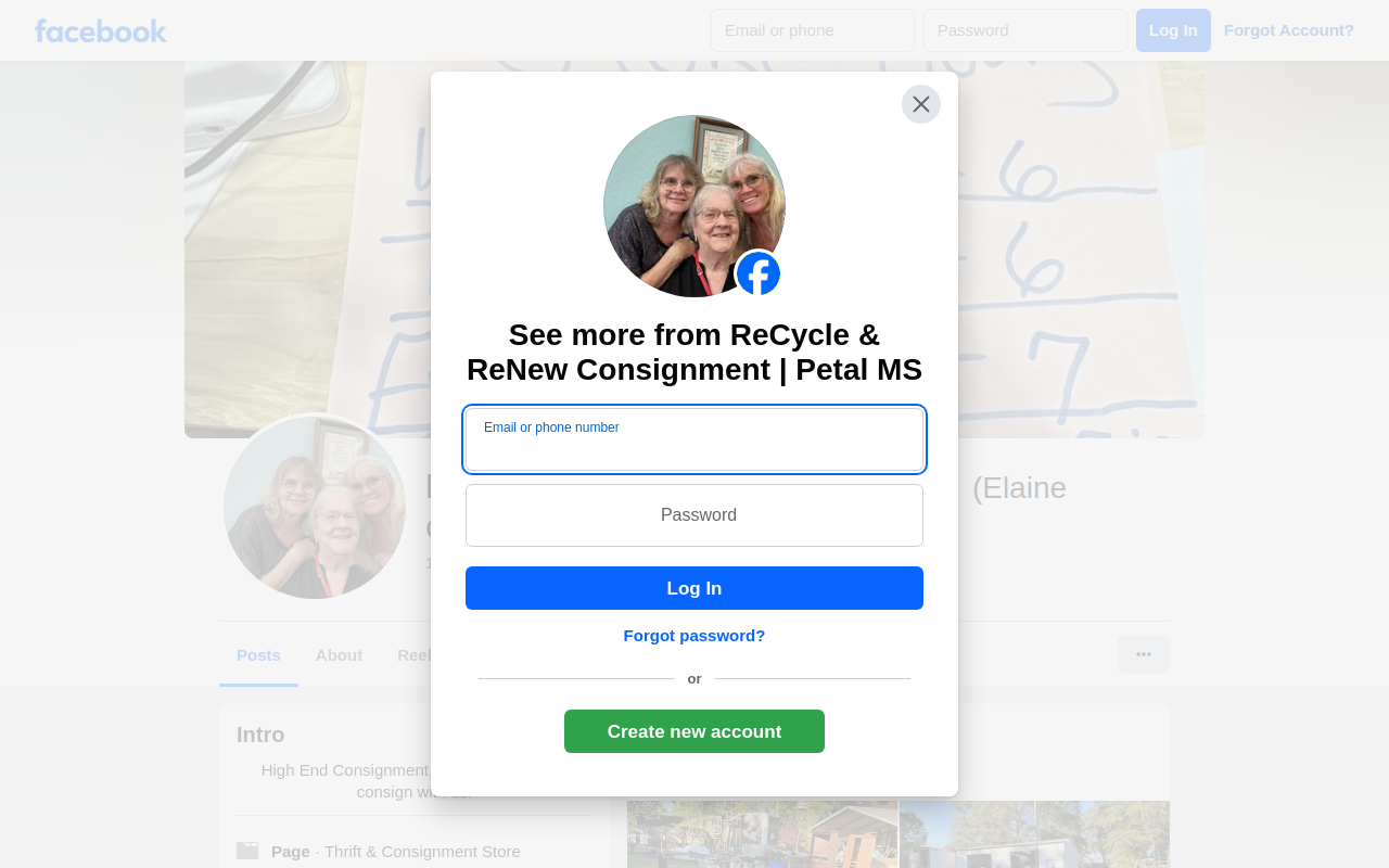 ReCycle & ReNew Consignment website preview