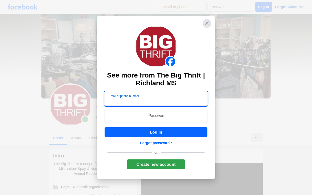 The Big Thrift website preview