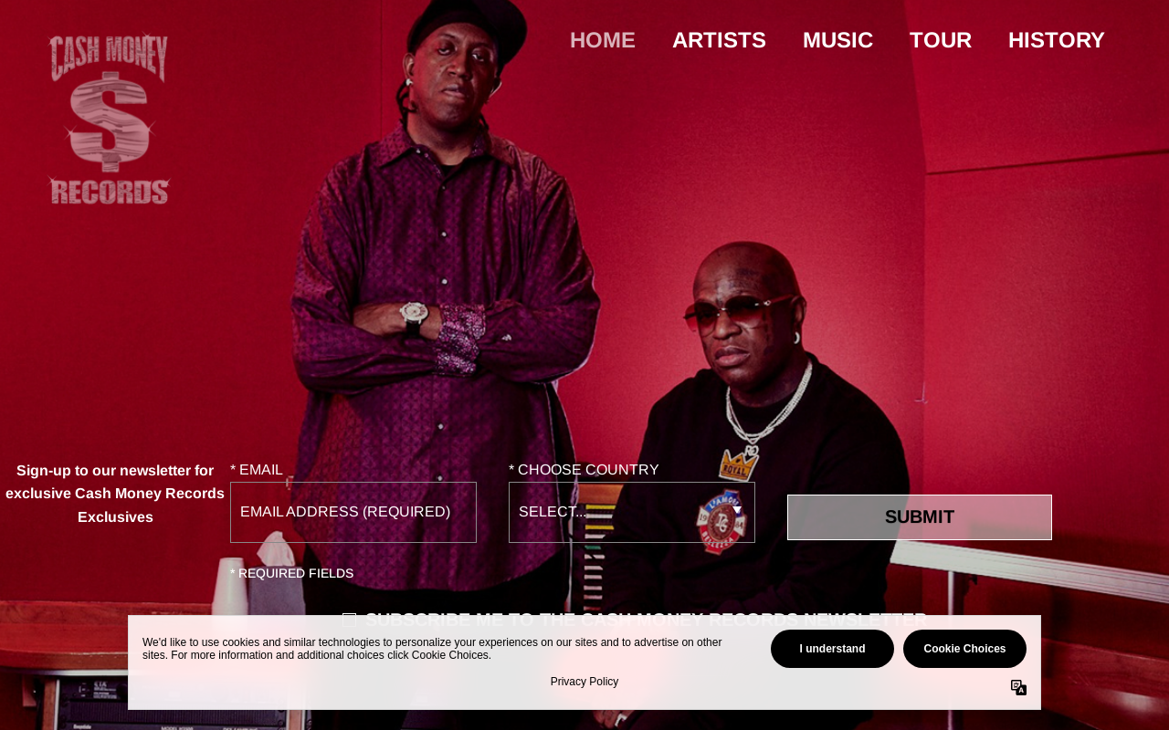 Cash Money website preview