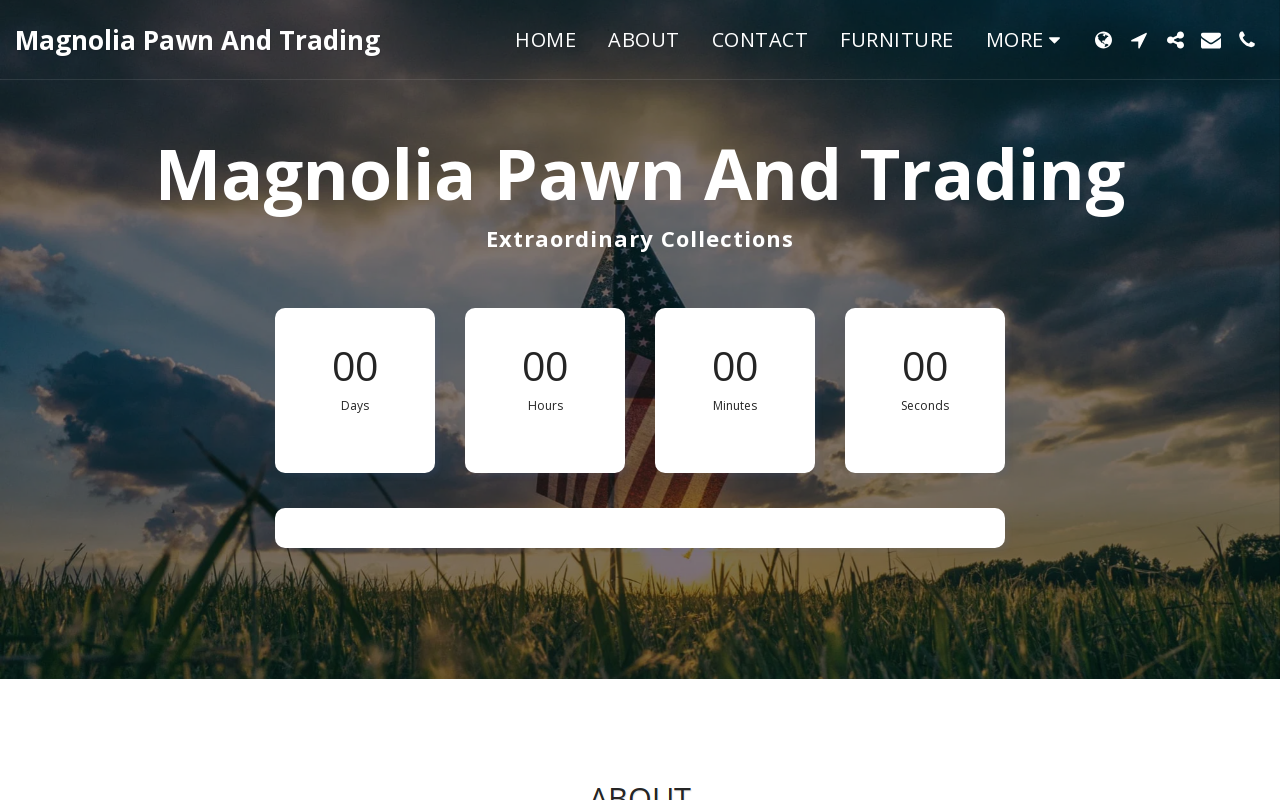 Magnolia Pawn And Trading website preview
