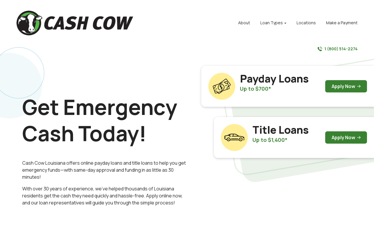 Cash Cow Pawn website preview