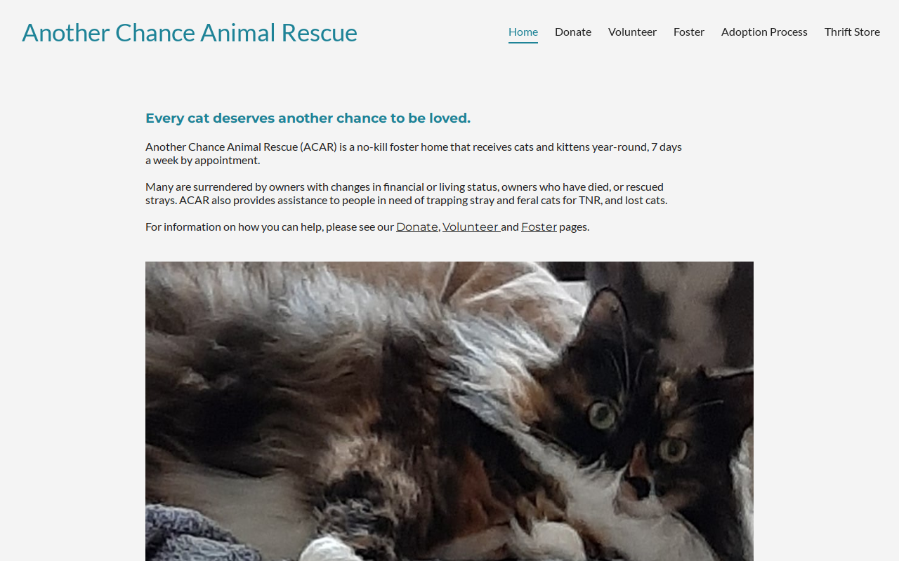Another Chance Thrift Store website preview