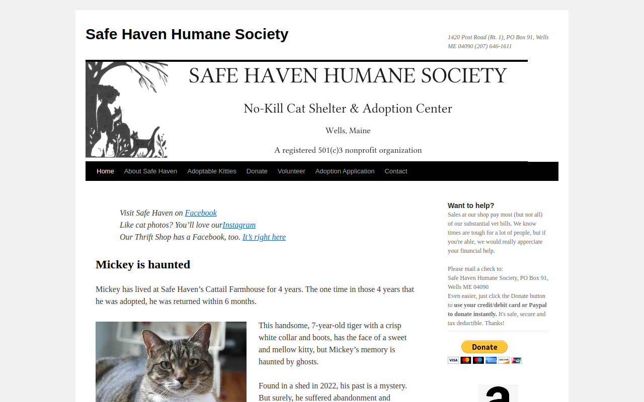 Safe Haven Humane Society Thrift Shop website preview