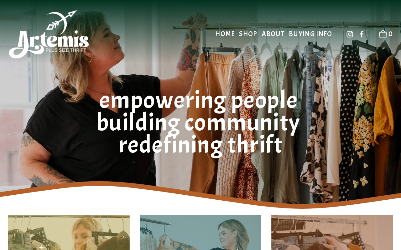 Artemis Plus Size Resale website preview