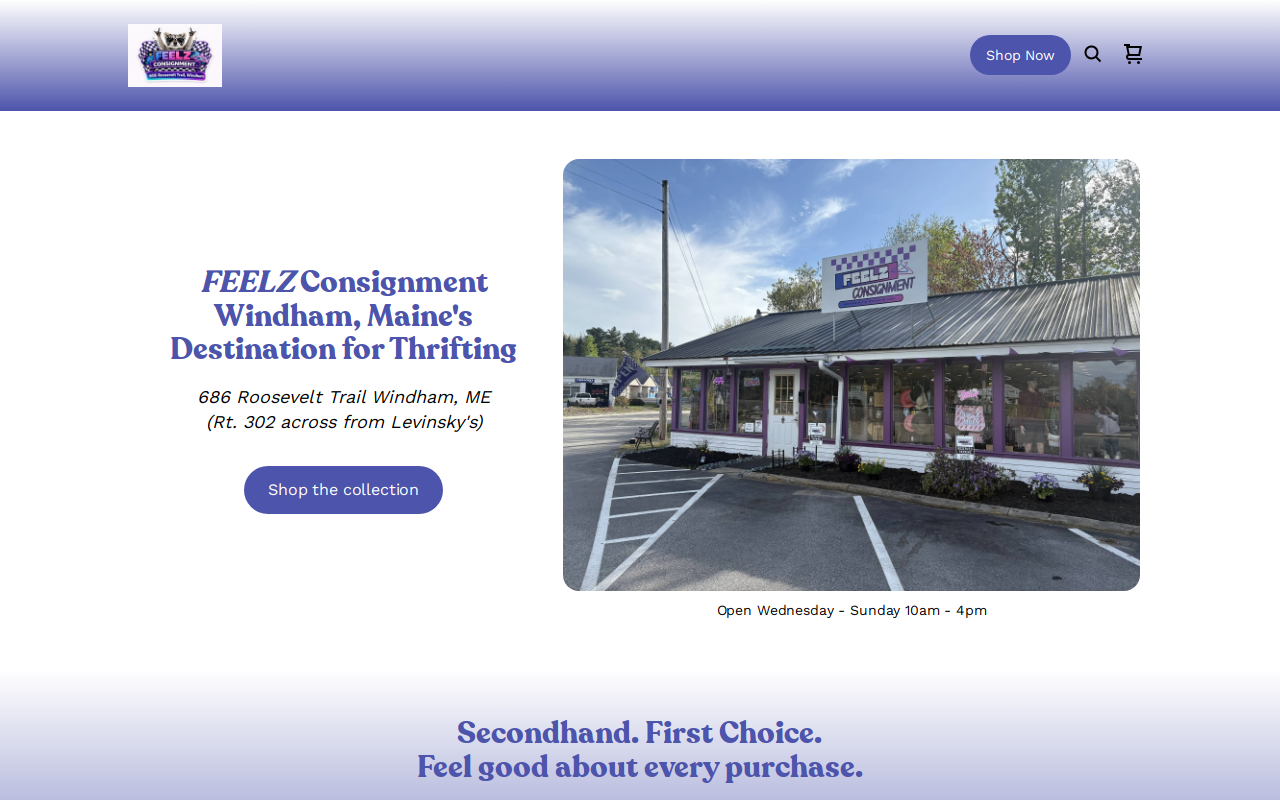 FEELZ Consignment LLC website preview