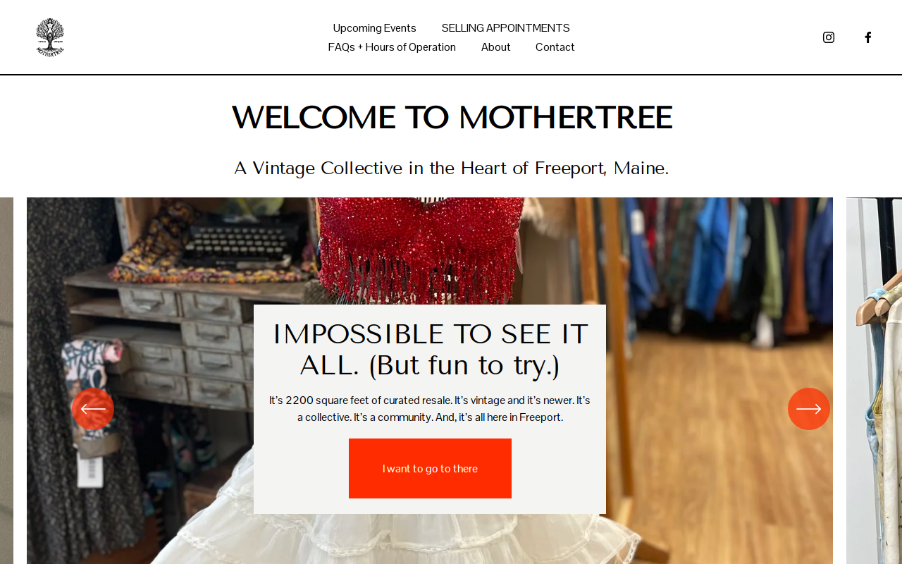 Mothertree website preview