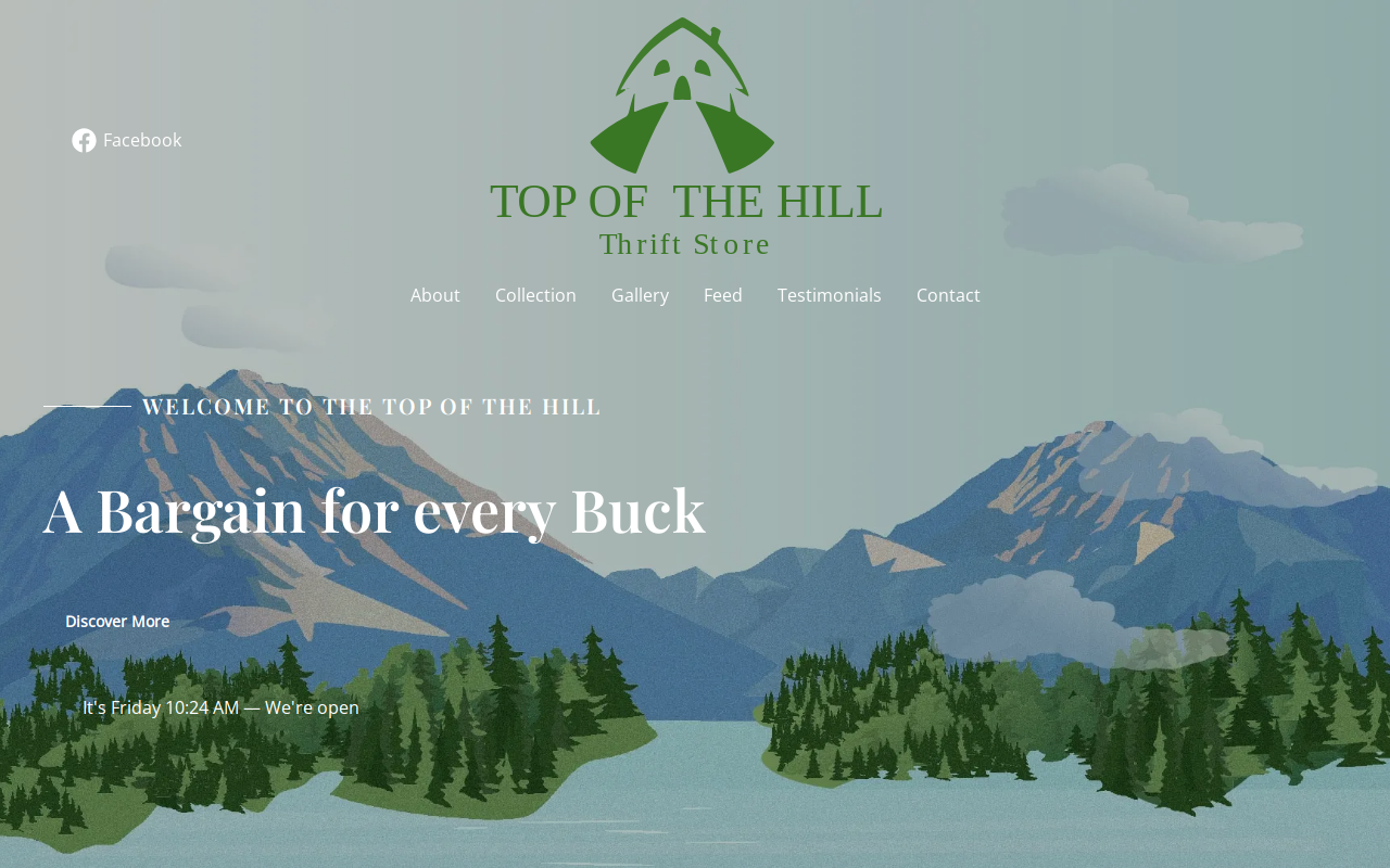 Top Of the Hill Thrift Store website preview