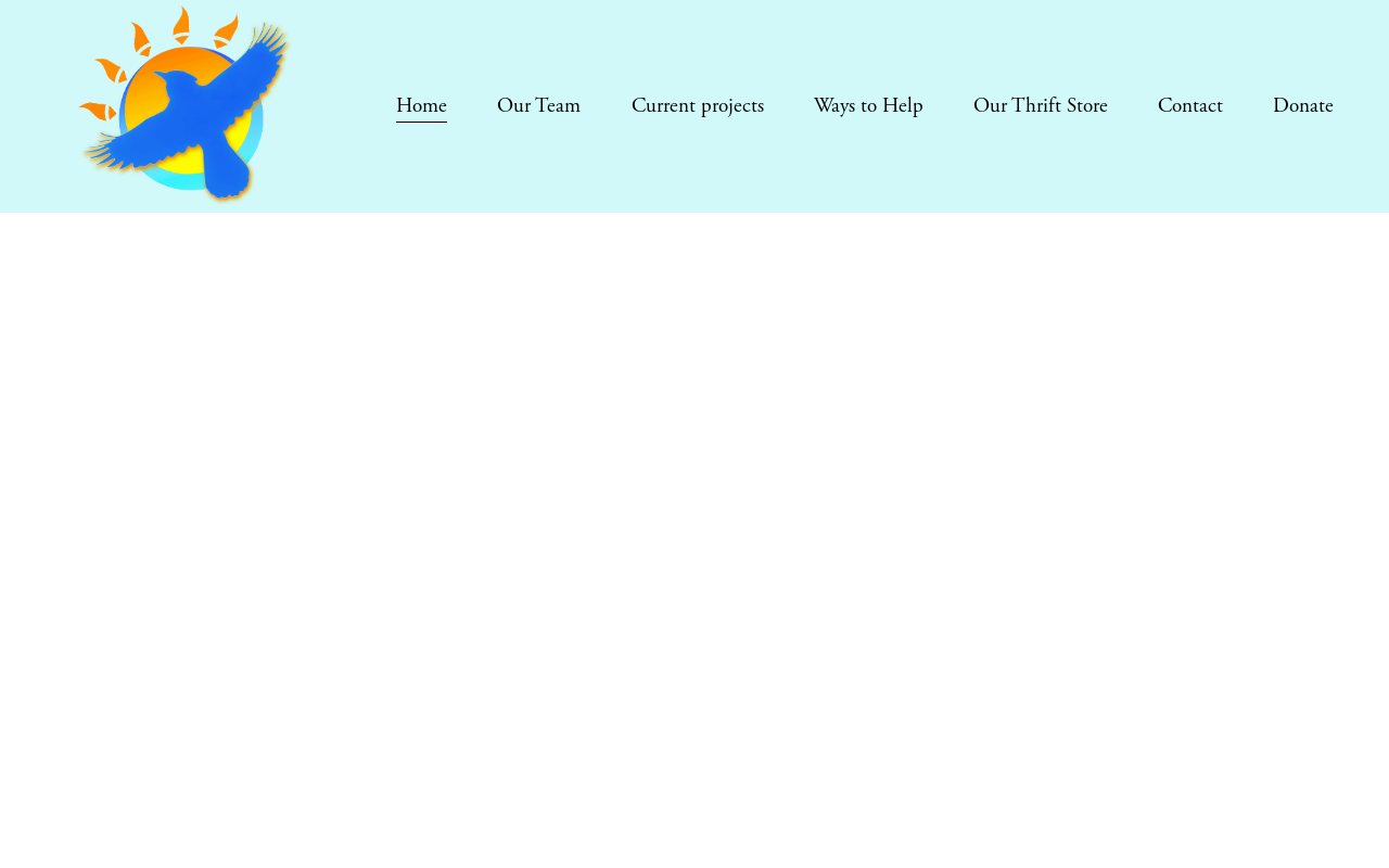 The Sea Witch Thrift website preview