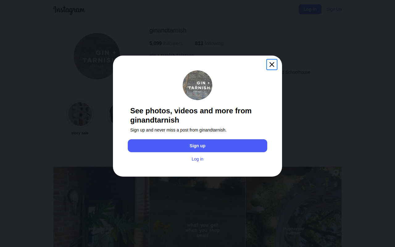 Gin + Tarnish website preview