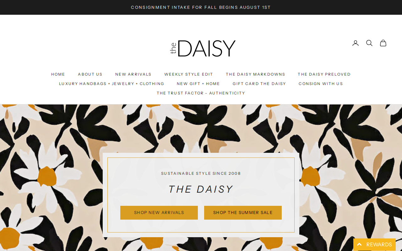 The Daisy website preview