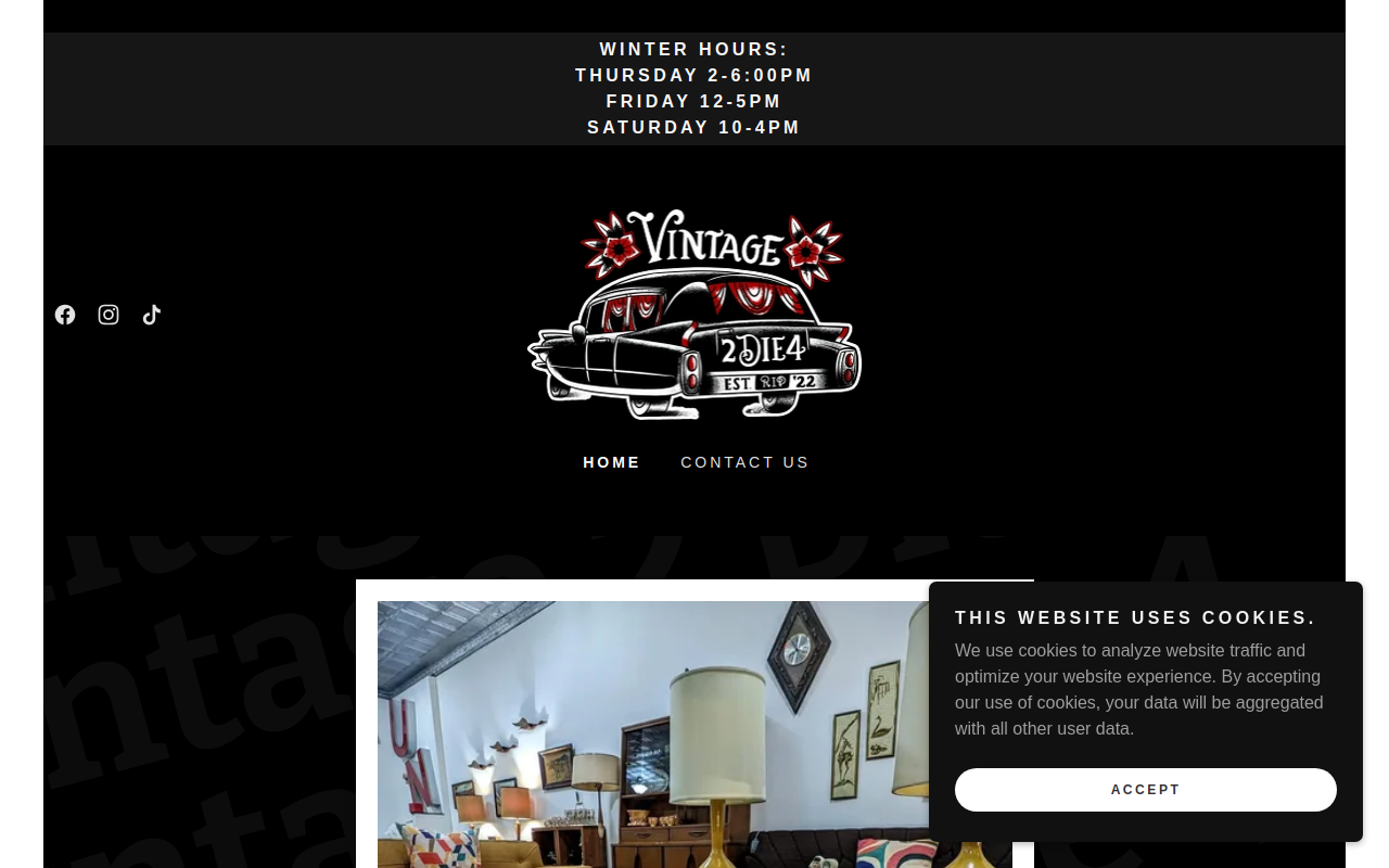 Vintage 2 Die 4 website preview