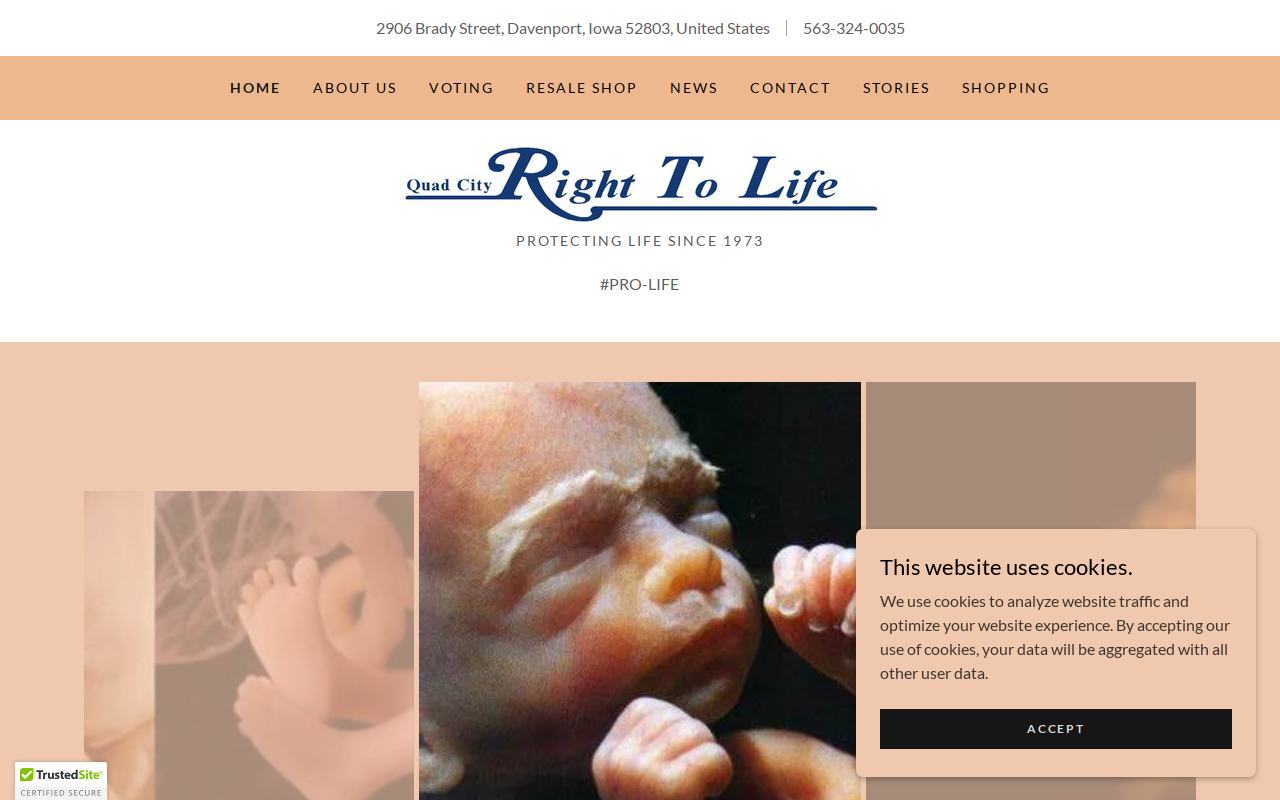Life's Little Treasures Resale website preview