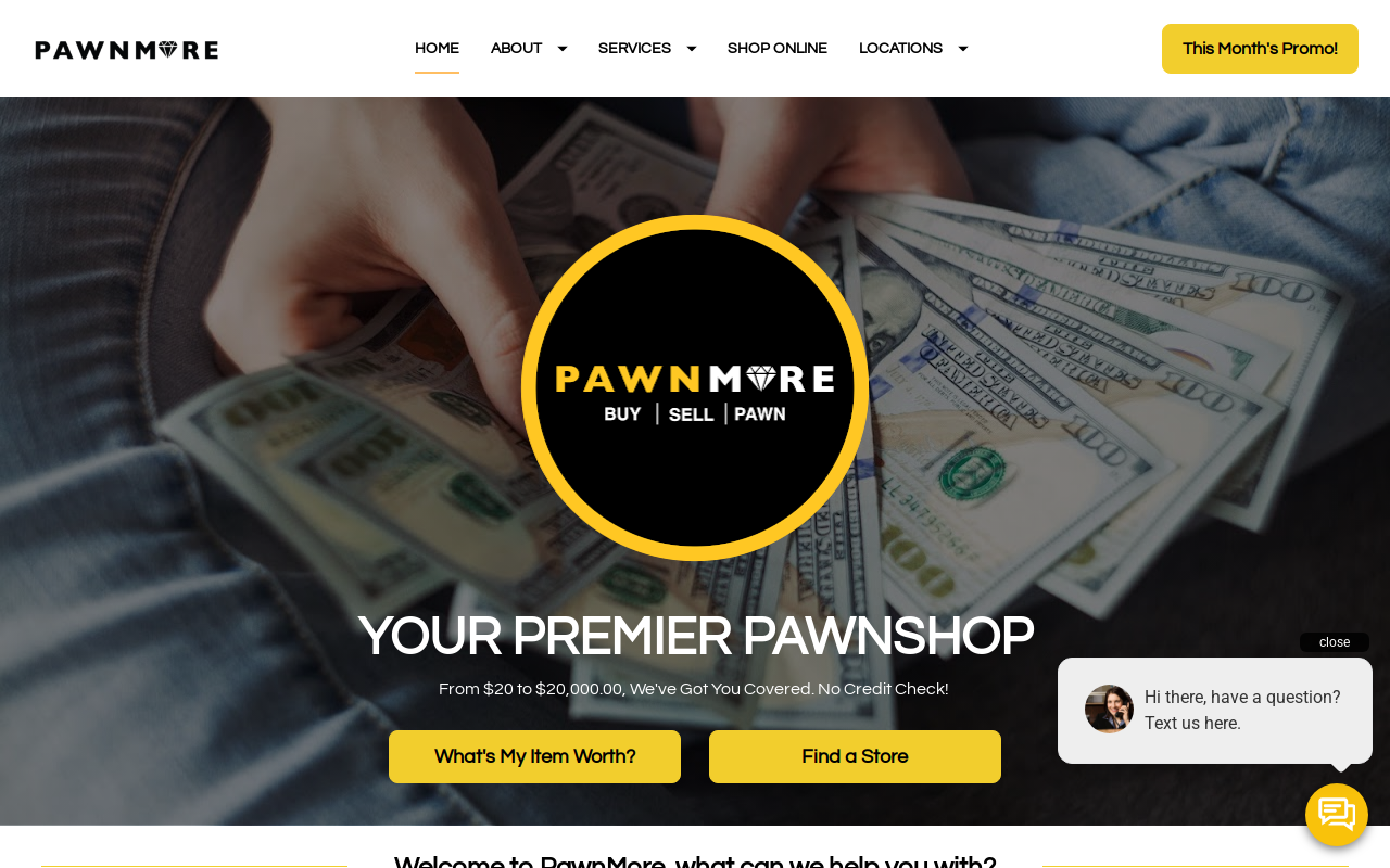 PawnMore website preview