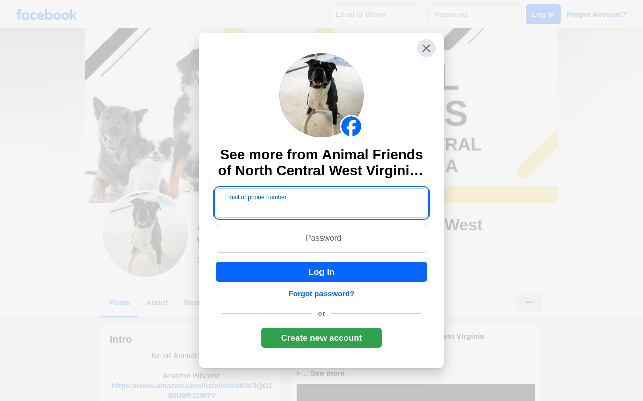 Animal Friends Thrift Shoppe website preview